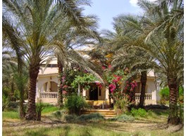 مزرعة للبيع في شارع عجاج ومزارعه 552