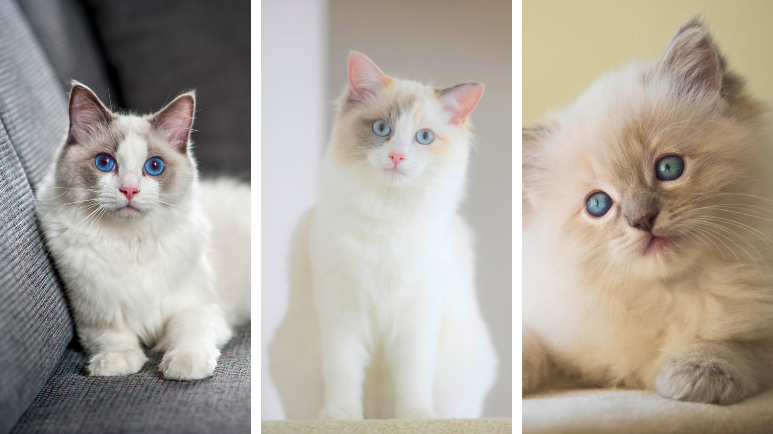 حساب&nbsp;تجريبي