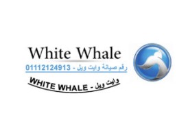 خدمات صيانة غسالات وايت ويل الدلنجات 01096922100