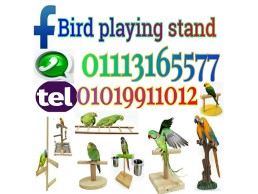 Parrot Stand tree wood استاند ببغاء و طيور زينة و ببغاوات مصر القاهرة